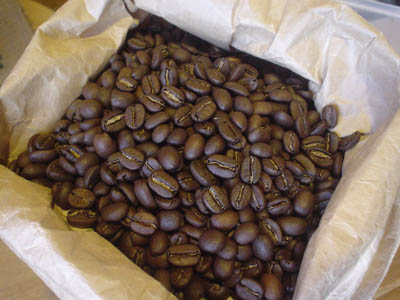 bari0802.jpg