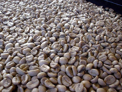bari20802.jpg