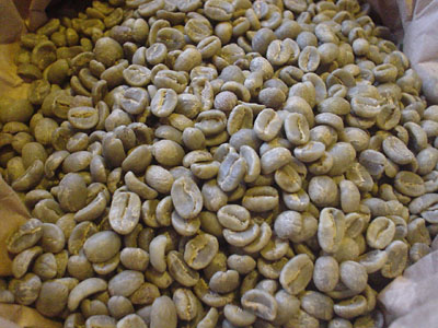 beans0711.jpg