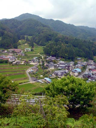 camp0806.jpg