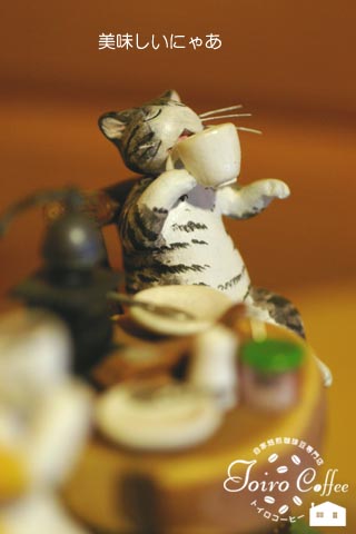cat0811.jpg