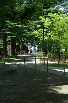 forest0806.jpg