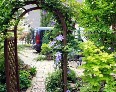garden0805.jpg