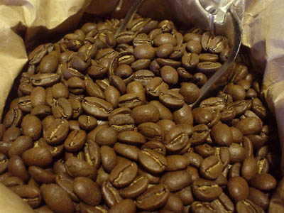 gomez0804.jpg