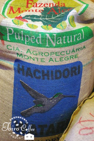 hachidori0811.jpg