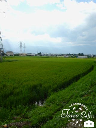 obon0808.jpg