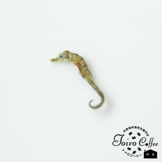see_dragon0809.jpg